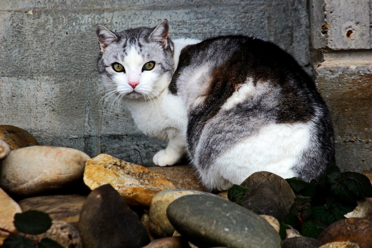 Я не отмечаю - Юрий. Шмаков