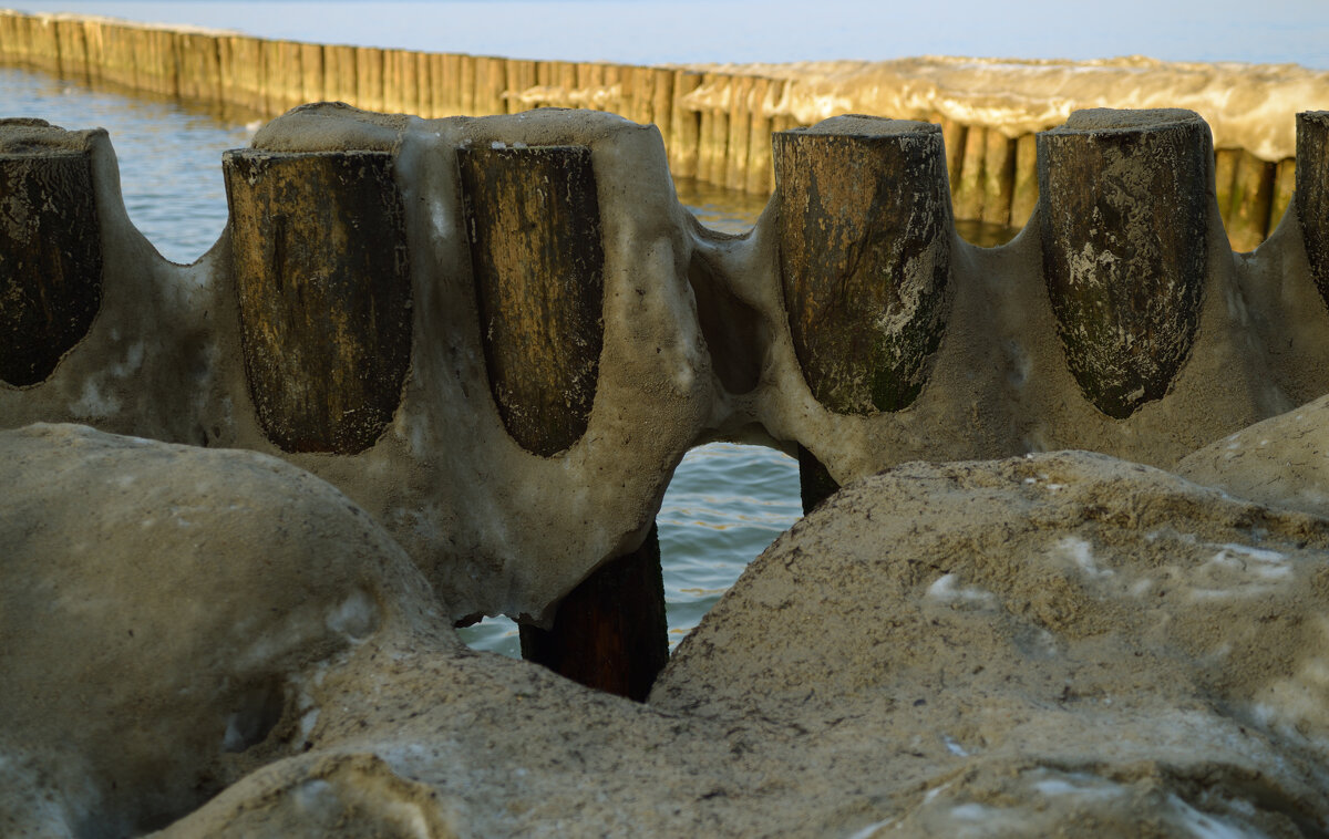 Снег не сдаётся. - Константин Белоногов