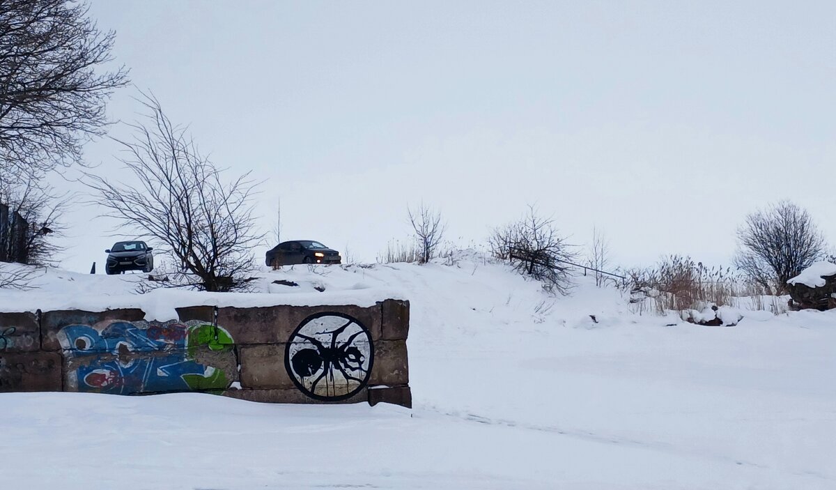 На берегу Ладожского озера - Наталья Герасимова