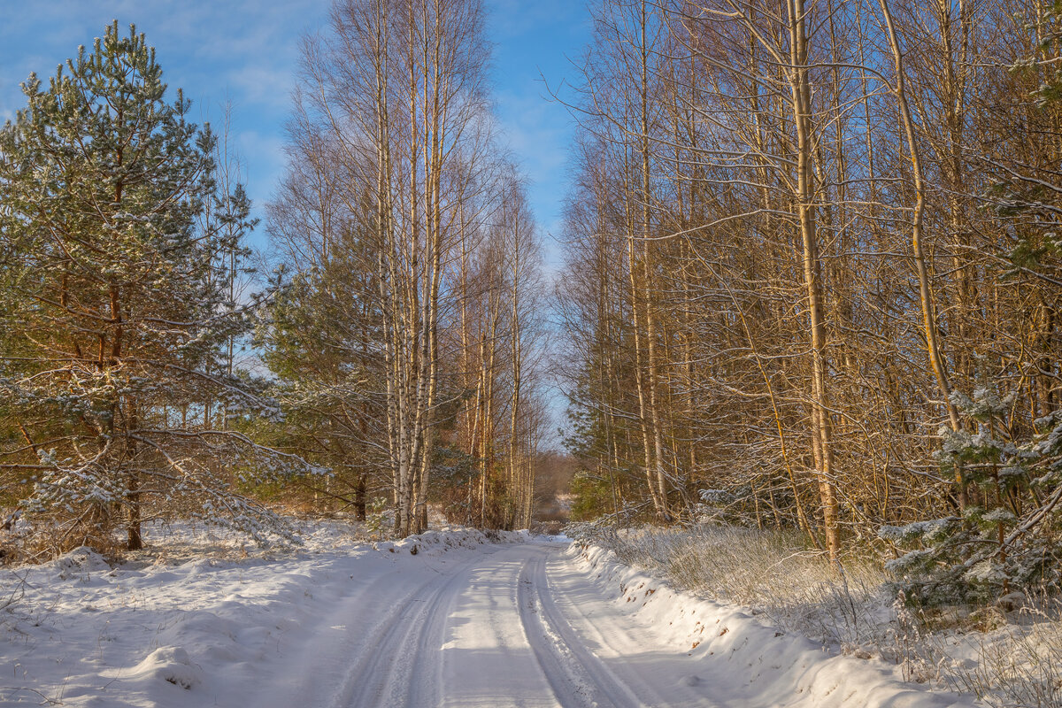 **** - Елизавета .