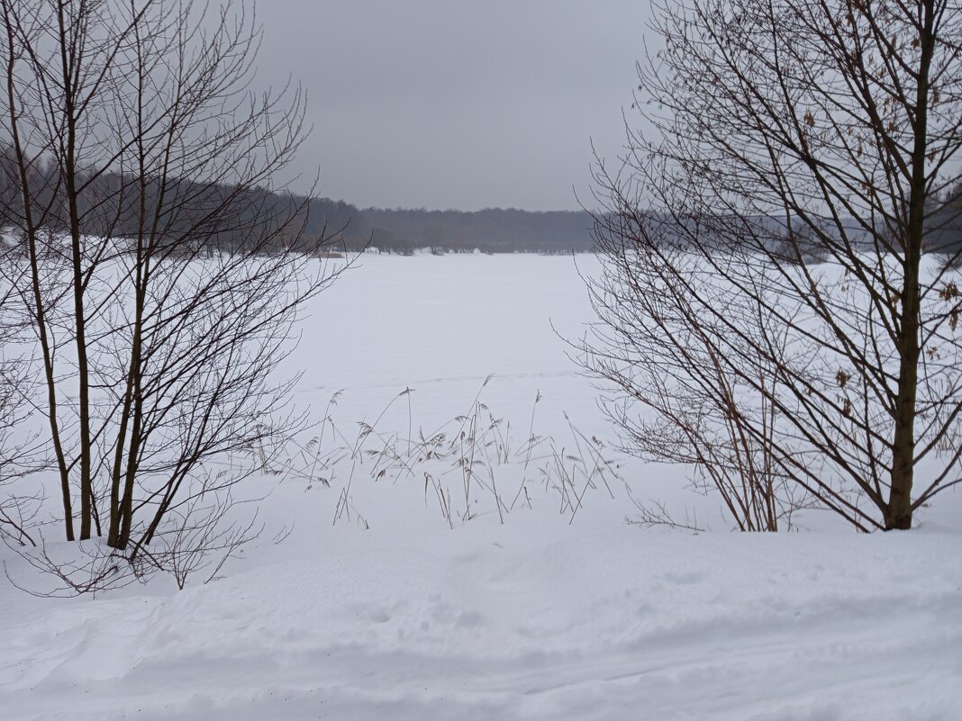 Первый день весны-2026 - продолжение ЧБ-сезона в фотографии - Андрей Лукьянов Первый день весны-2026 - продолжение ЧБ-сезона в фотографии - Андрей Лукьянов