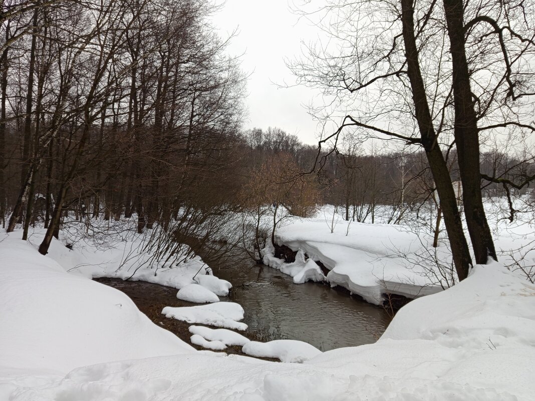 Первый день весны-2026 - продолжение ЧБ-сезона в фотографии - Андрей Лукьянов Первый день весны-2026 - продолжение ЧБ-сезона в фотографии - Андрей Лукьянов