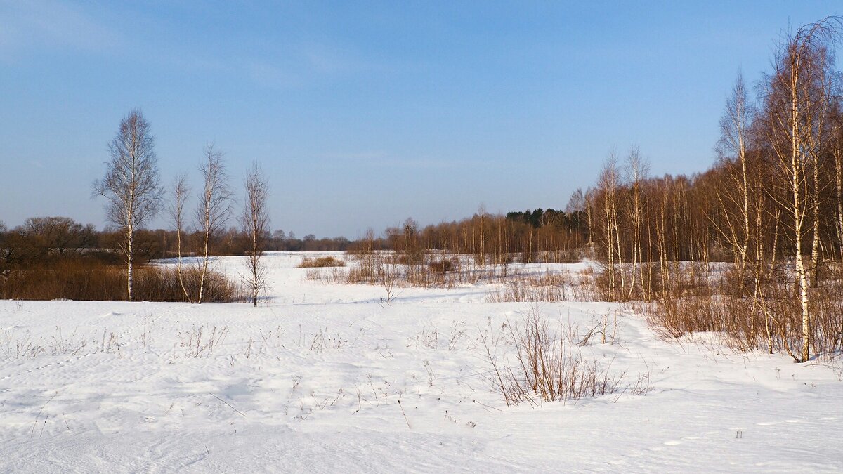 Весенний пейзаж. - Милешкин Владимир Алексеевич 