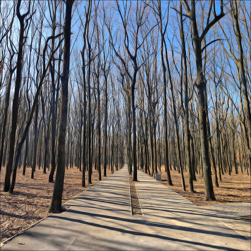 ///___\\\ - Федор Кобец