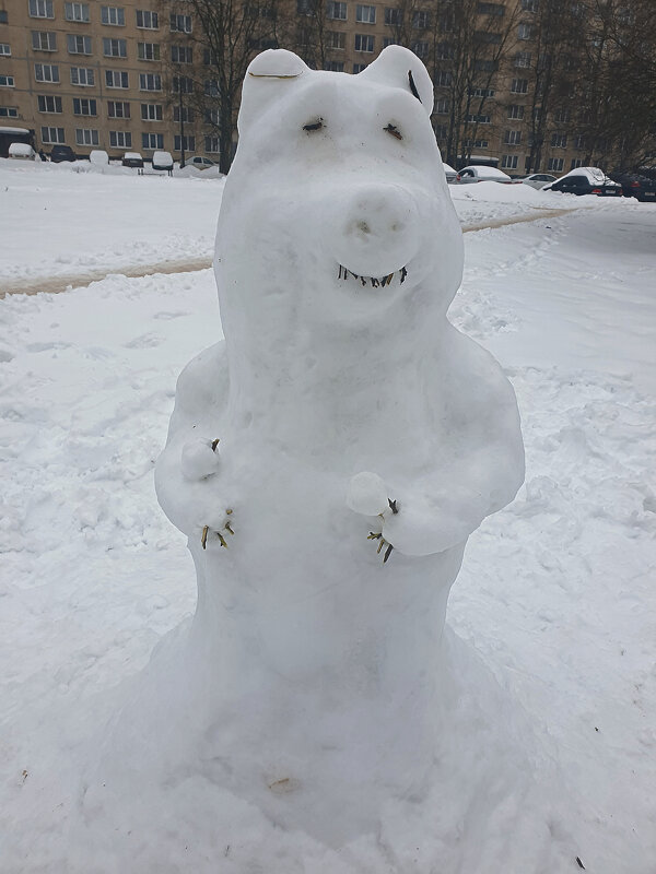 Снежный медведь - Сергей Кочнев