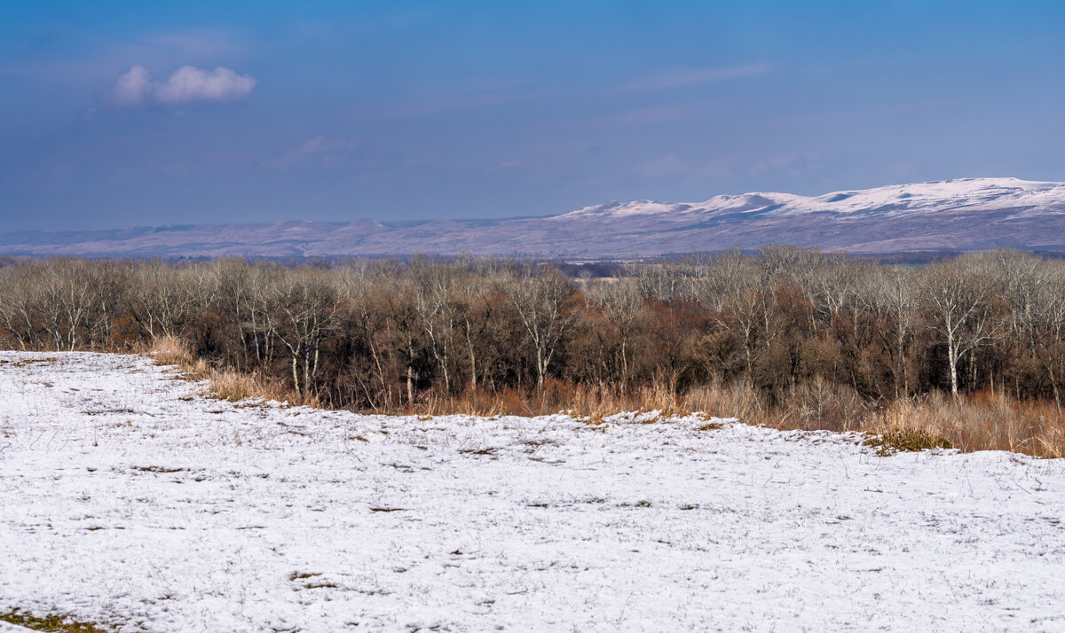 Окрестности - Игорь Сикорский