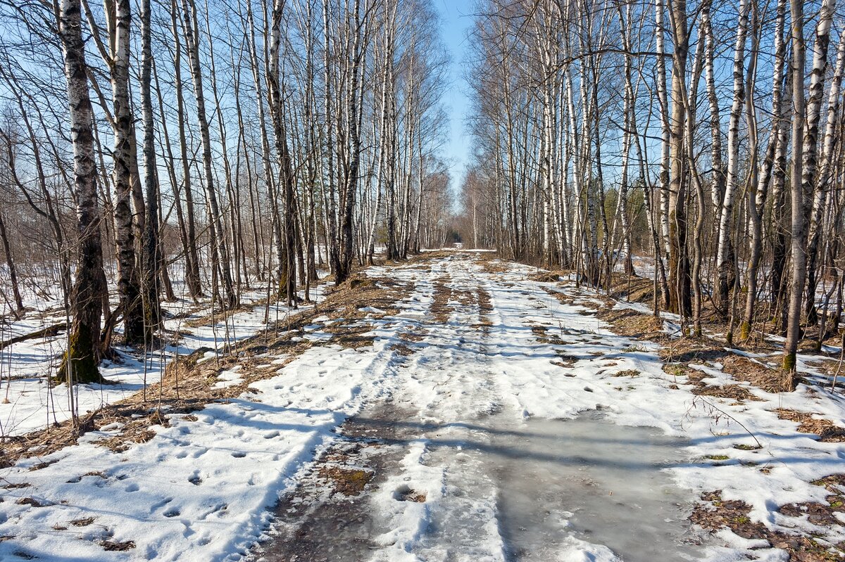 По весенней просеке - Валерий Иванович