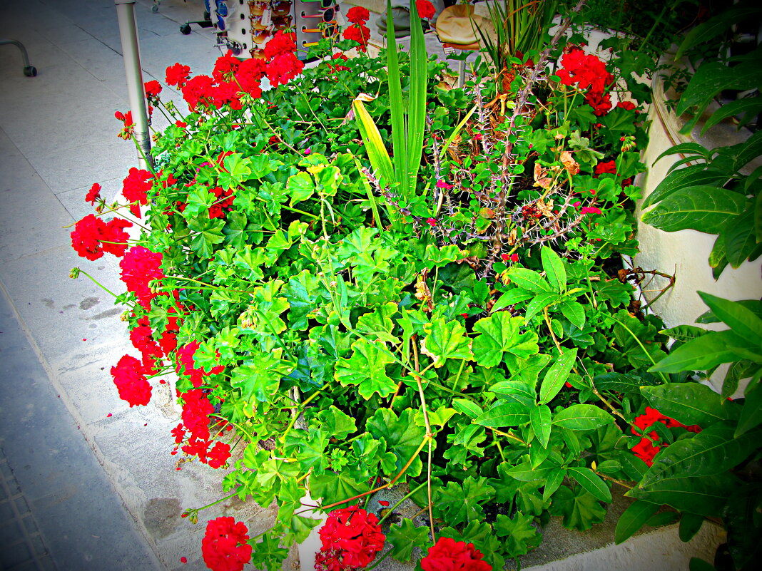 Цветная композиция. - Владимир Драгунский