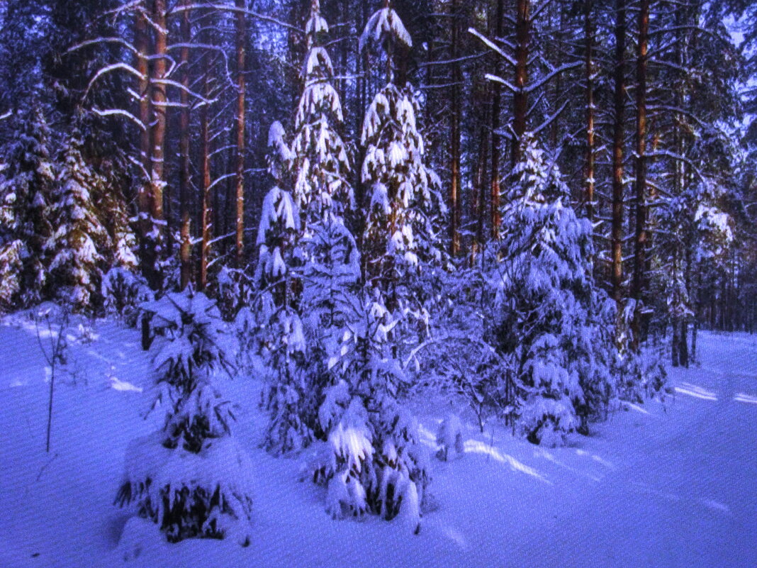 В лесу - Людмила Смородинская