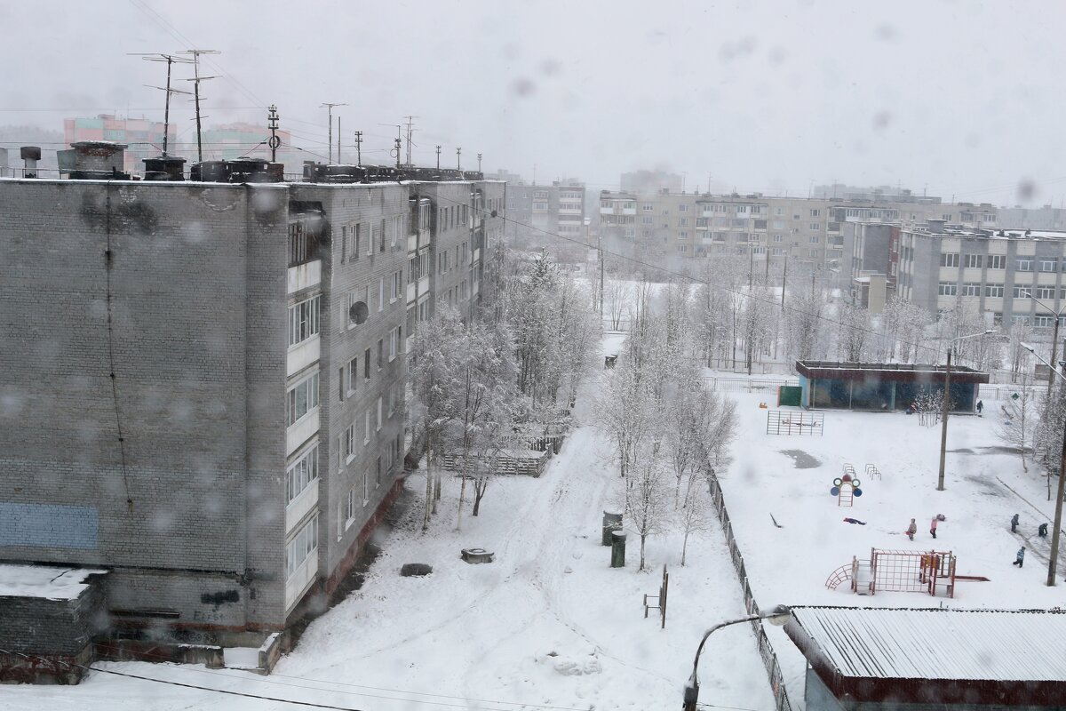 Наша зимняя весна - Ольга Наша зимняя весна - Ольга