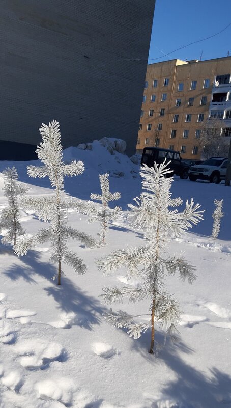 Весенние наряды Заполярья - Ольга 
