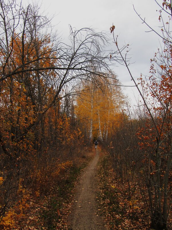 октябрь - Елена Шаламова октябрь - Елена Шаламова