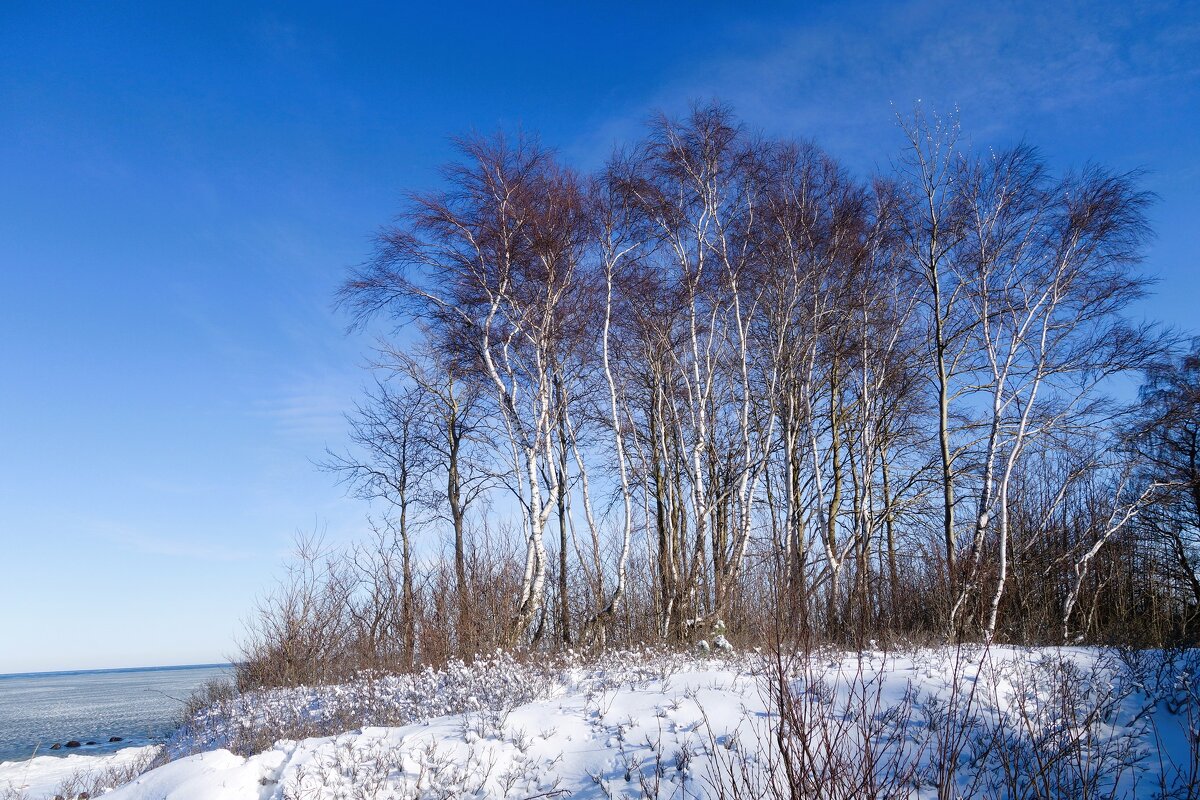 Побережье Балтийского моря - Рита Симонова Побережье Балтийского моря - Рита Симонова