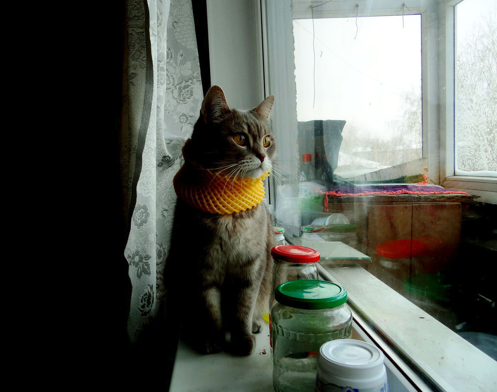 Есть такая работа - светофор - Maria Rainer Есть такая работа - светофор - Maria Rainer