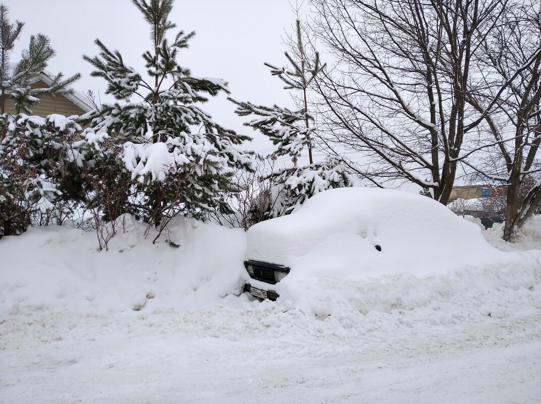 В с.Заворово - Елена Семигина