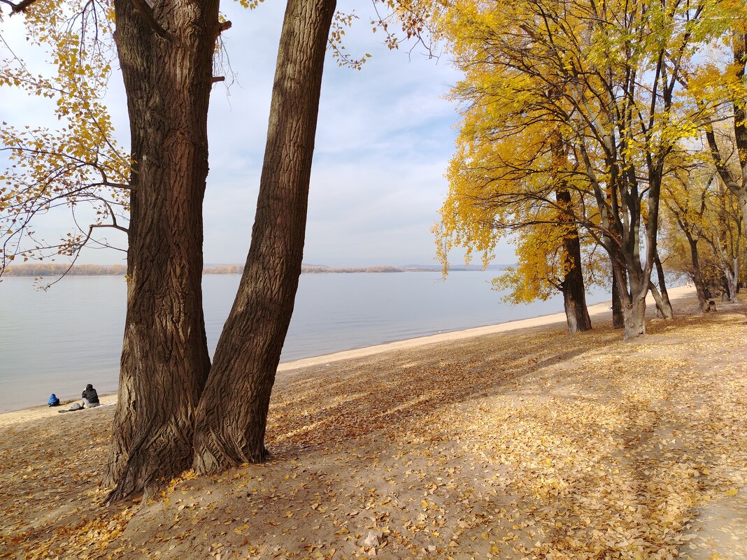 Волга осенью - Надежда 