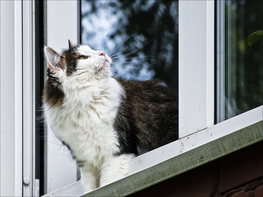 Кажется птичка пролетела... - Валентина * Кажется птичка пролетела... - Валентина *