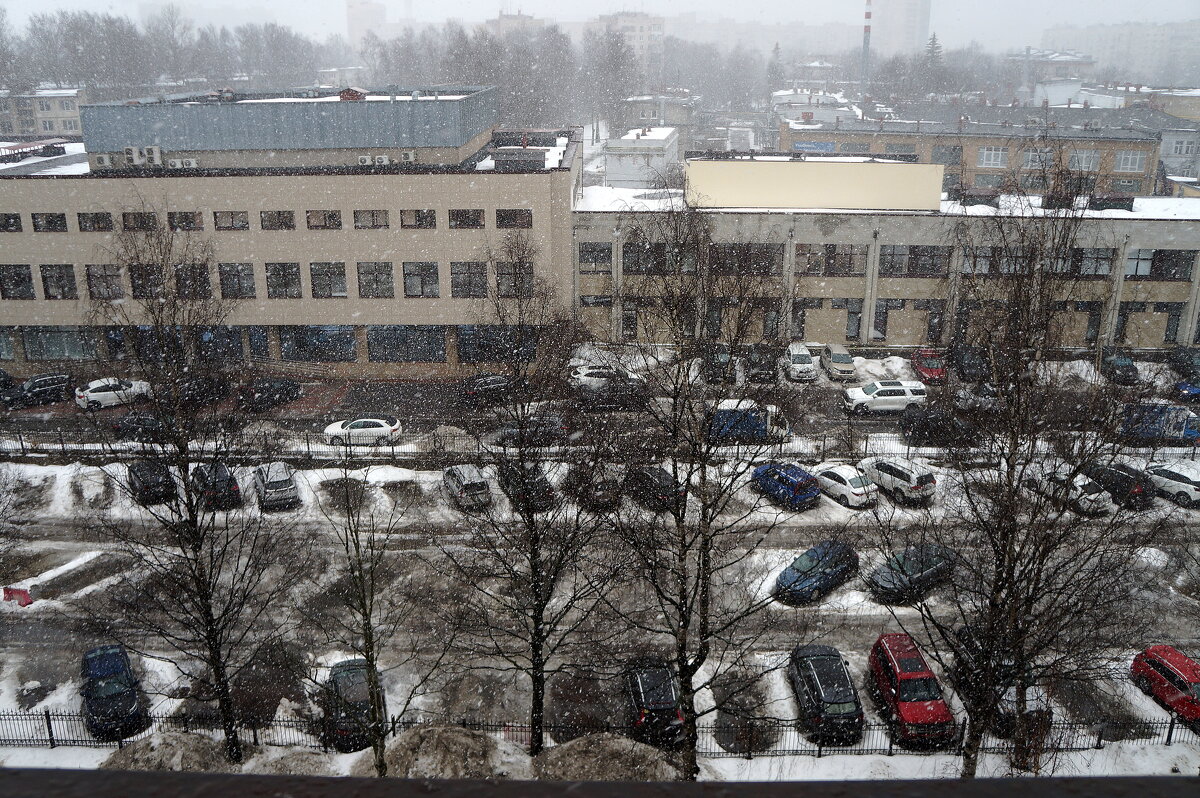 зимняя весна - zavitok *