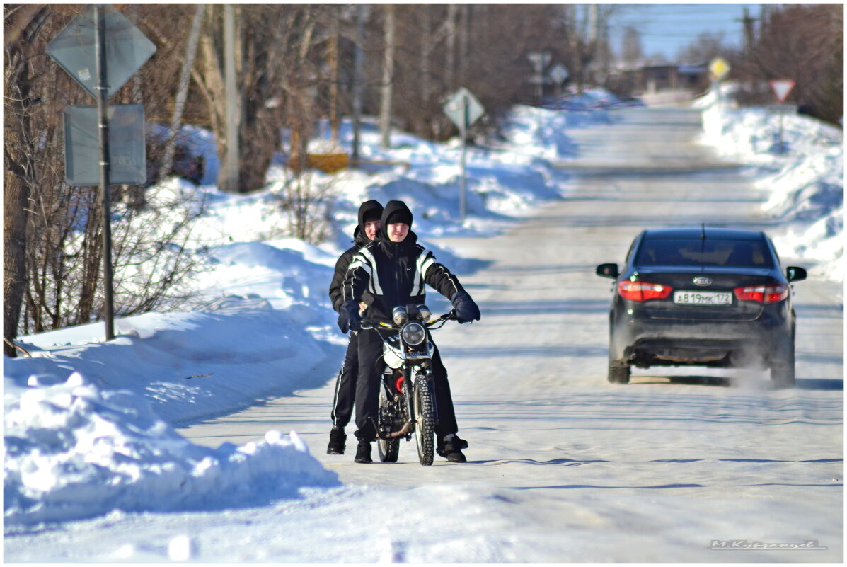 Не дожидаясь весны. - Михаил Курзанцев