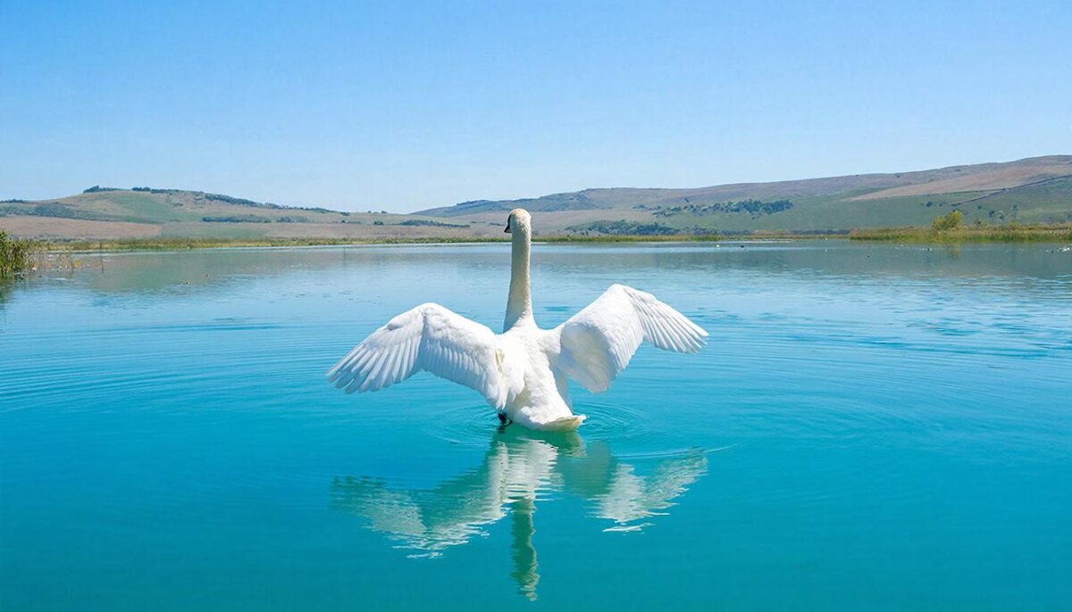 На взлет! - СЕРГЕЙ ФИЛОЧКИН