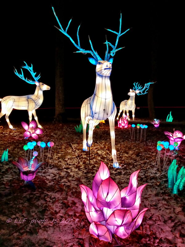 Сказочные животные - Liudmila LLF Сказочные животные - Liudmila LLF