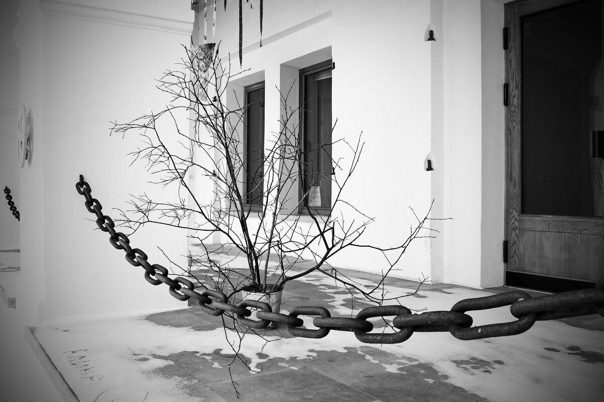 Суздаль - Николай 