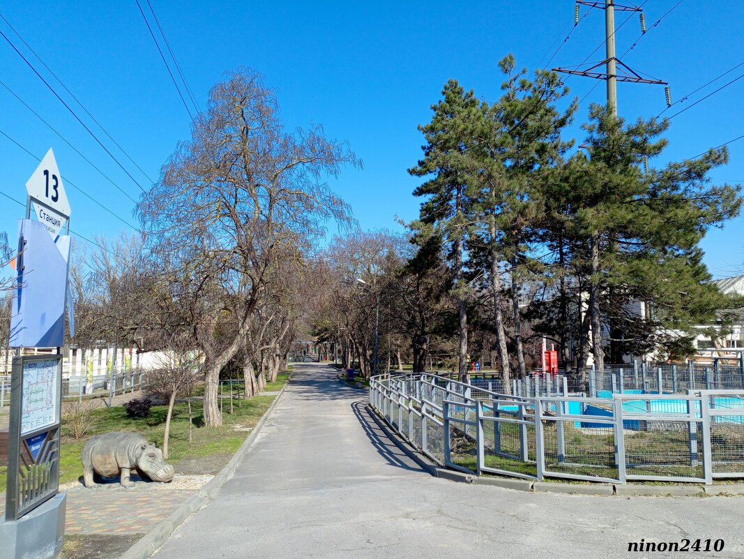 Март в ростовском зоопарке - Нина Бутко Март в ростовском зоопарке - Нина Бутко