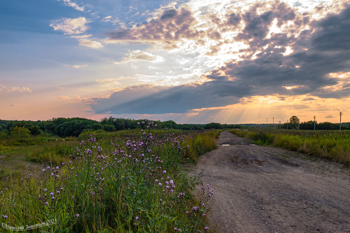 Ухта, Коми. Летний вечер в северных полях у реки Ухта. Красота, лепота и много... комарья) - Николай Зиновьев