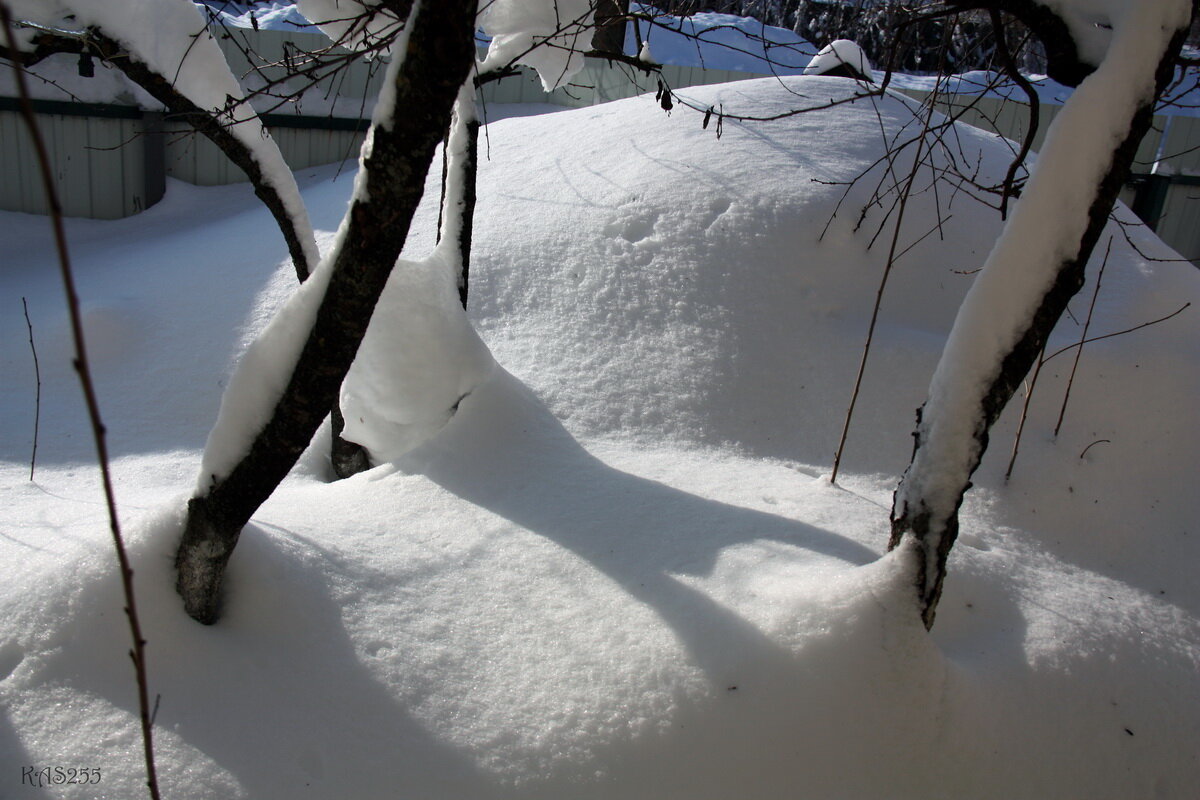 Тени - Александр 