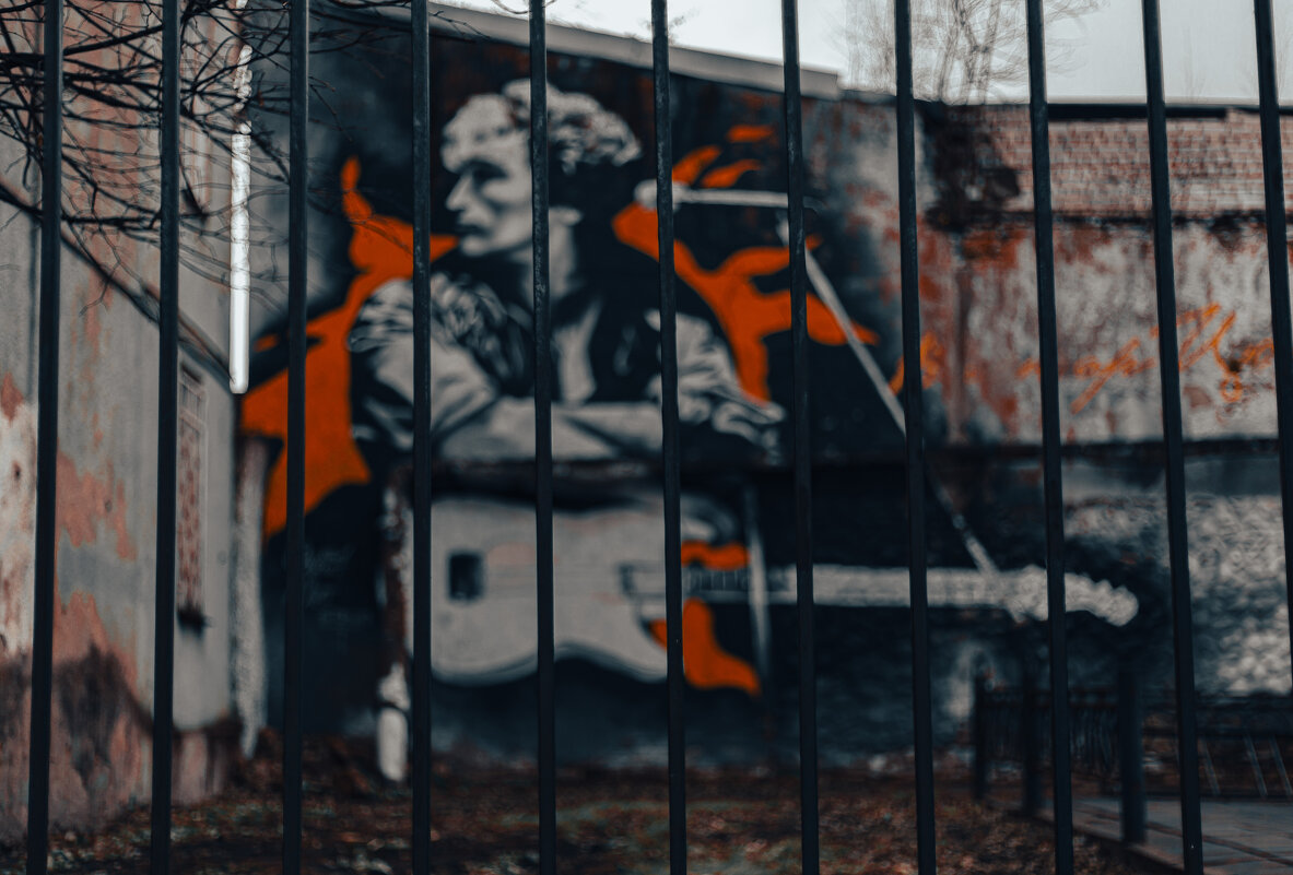 Цой - Serega Alucard X2