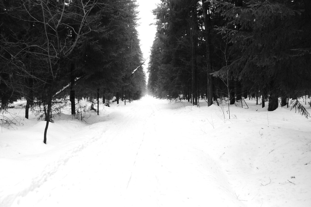 Мечты о ч/б Лейке 31. Объектив Лейка... - Михаил Елочкин