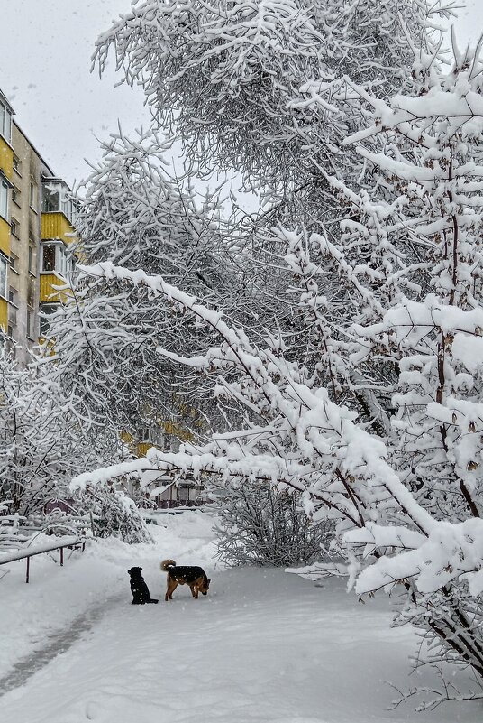 Снежная зима - Геннадий Худолеев Худолеев Снежная зима - Геннадий Худолеев Худолеев