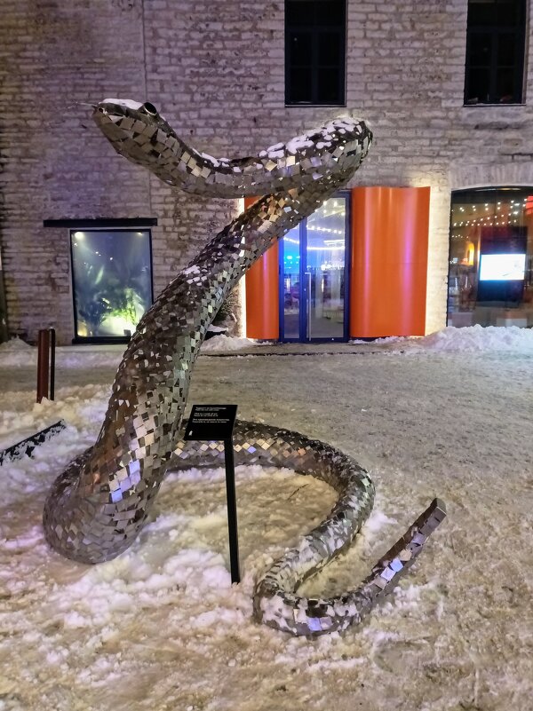 Вечерняя прогулка - Veera V