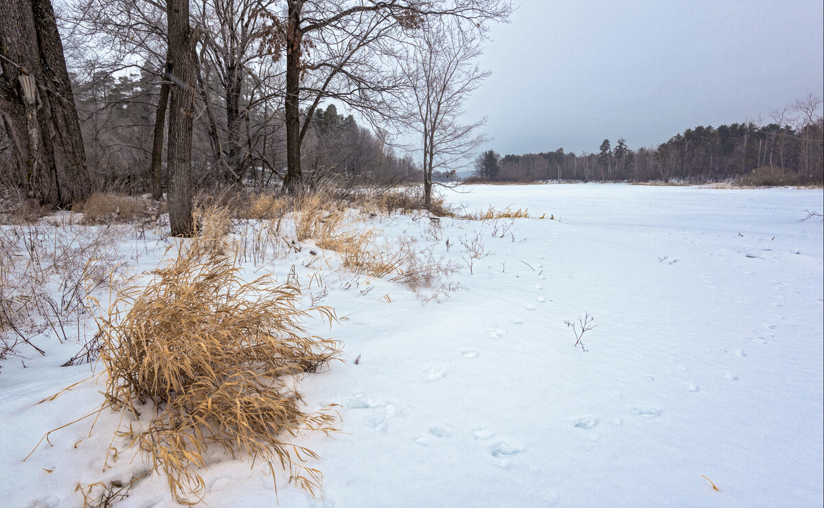 Голубой залив - **** vedin Голубой залив - **** vedin