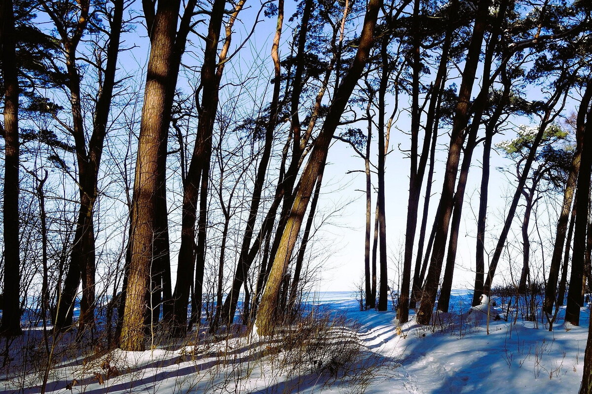 Февраль, побережье Балтийского моря, Калининградская область - Рита Симонова Февраль, побережье Балтийского моря, Калининградская область - Рита Симонова