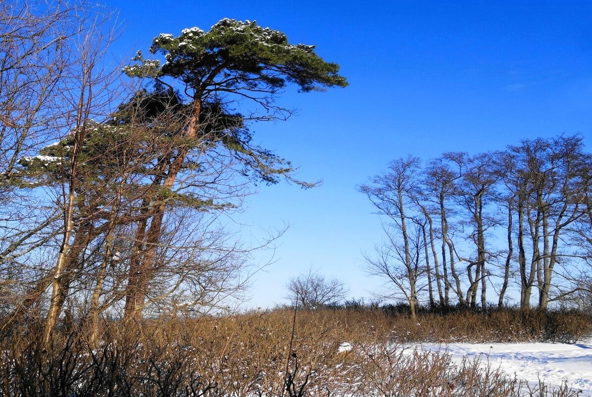 Февраль, побережье Балтийского моря, Калининградская область - Рита Симонова Февраль, побережье Балтийского моря, Калининградская область - Рита Симонова