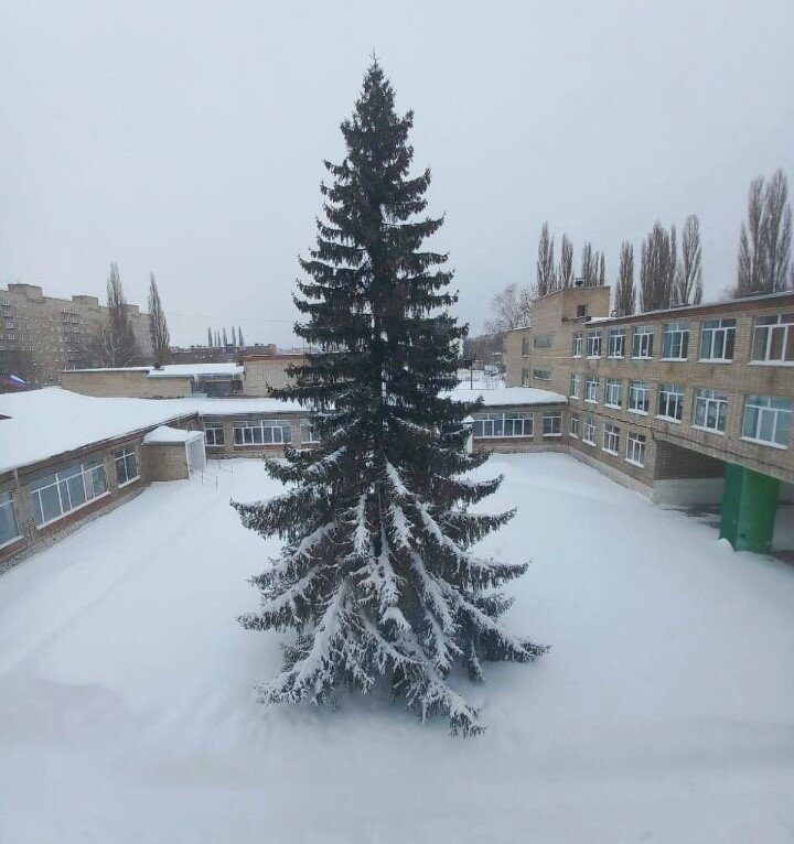 Март - Венера Чуйкова