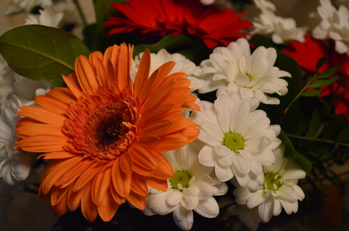 ,,, - Сергей Тимоновский ,,, - Сергей Тимоновский