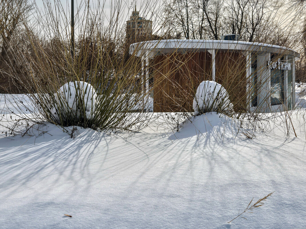 Пончики - Eugene * Пончики - Eugene *