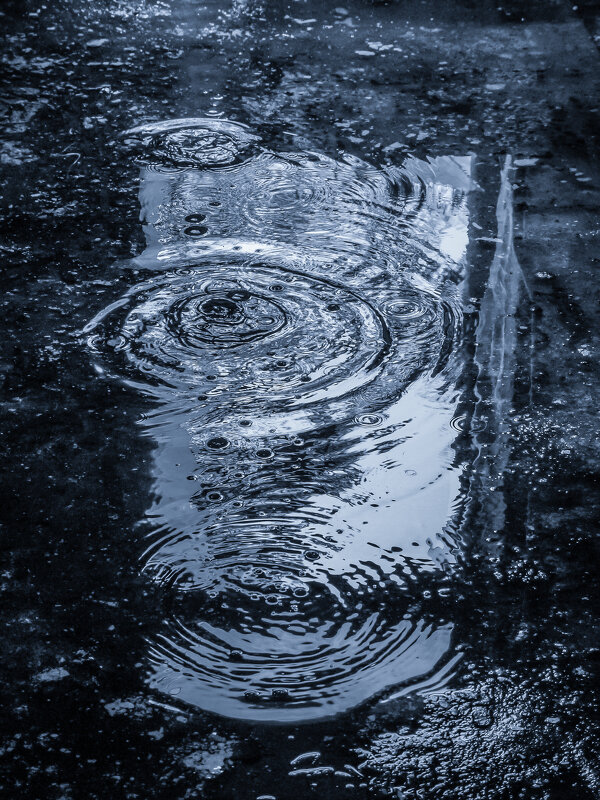 Весенняя... - Наталья Rosenwasser