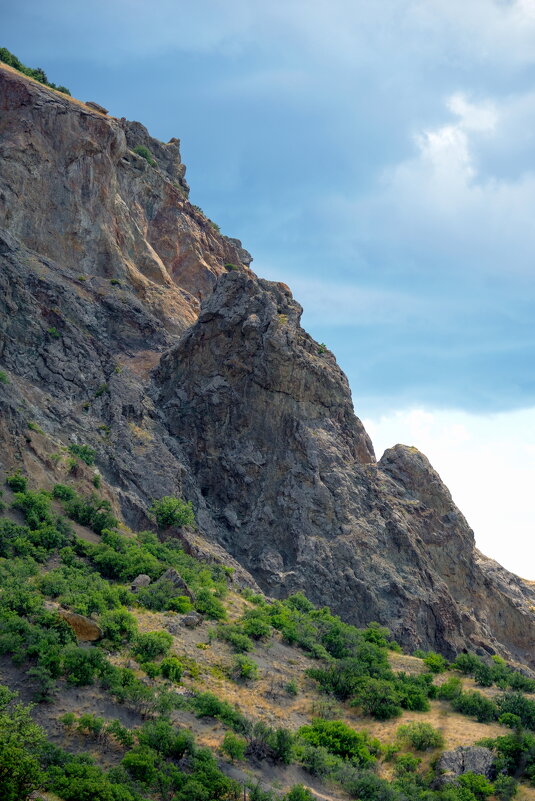 утро - Всеволод 