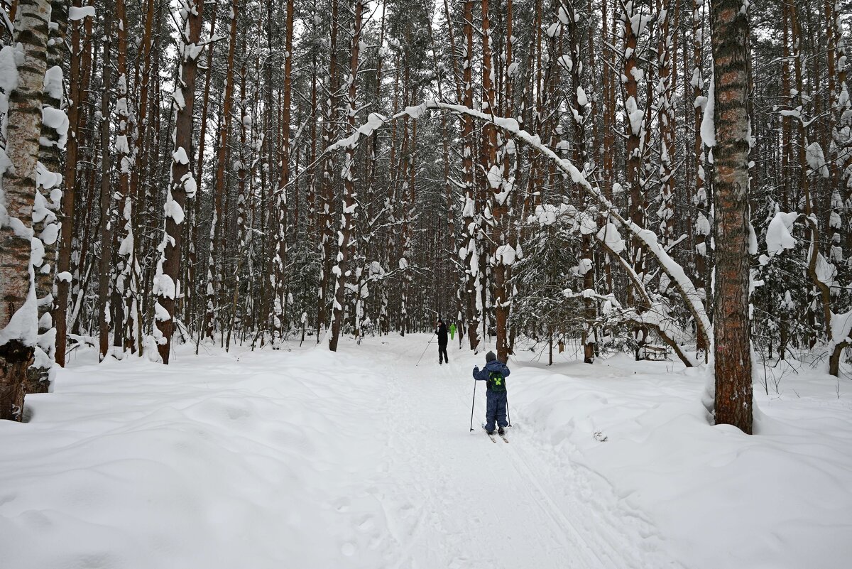 По лесу сказочному. - ВикТор Быстров