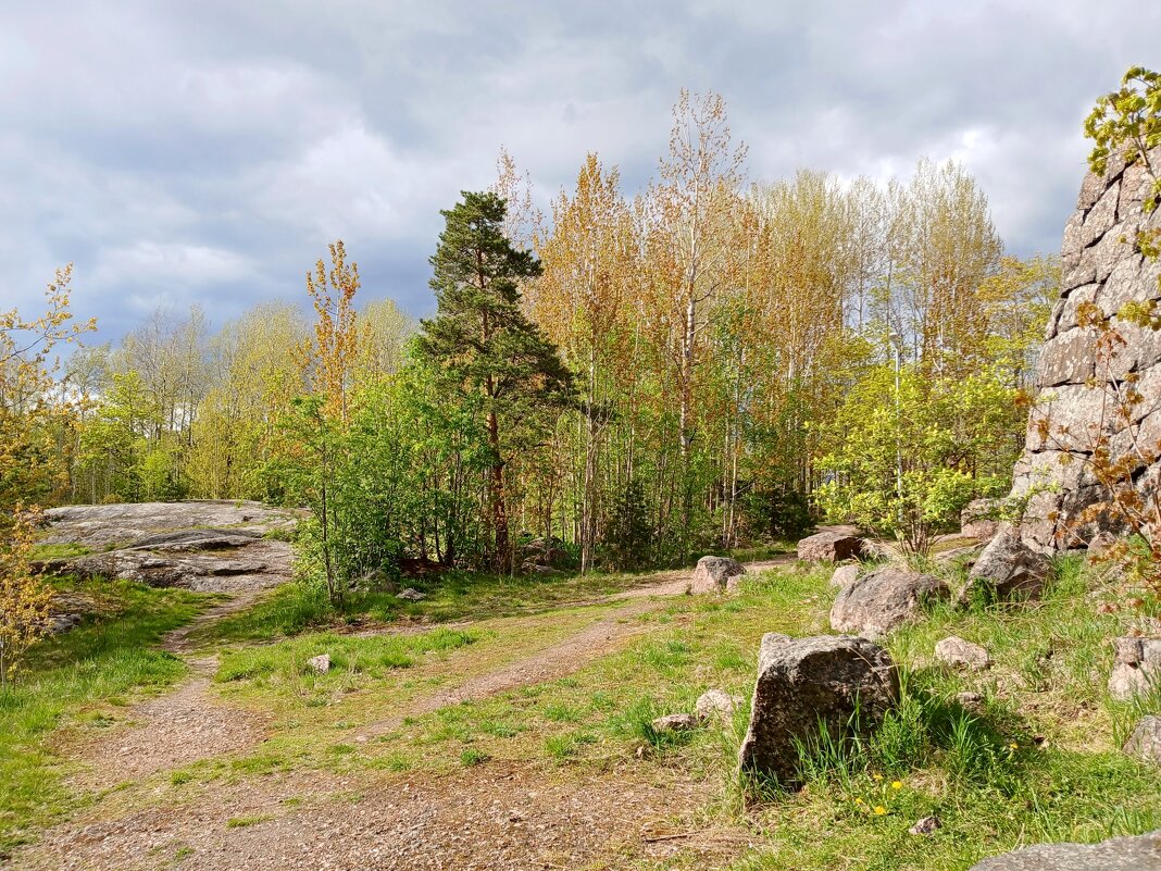 Парк на Батарейной горе. - Лия ☼