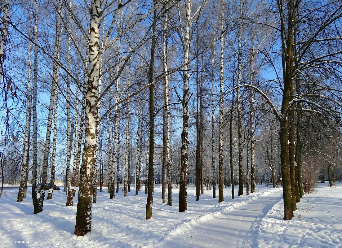 Вот и март.... - Наталья ***