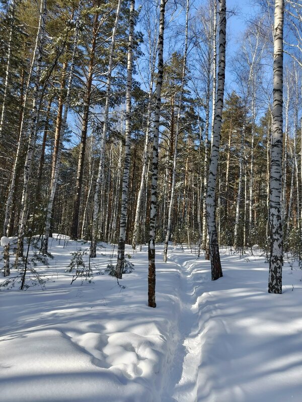 ЗИМА НЕ УХОДИТ3 - ura Зелев
