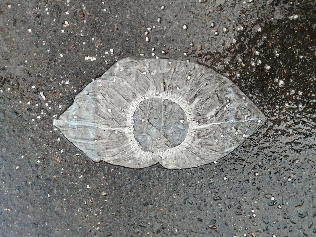 МЕДуза Бахилиус - Юрий Вовк