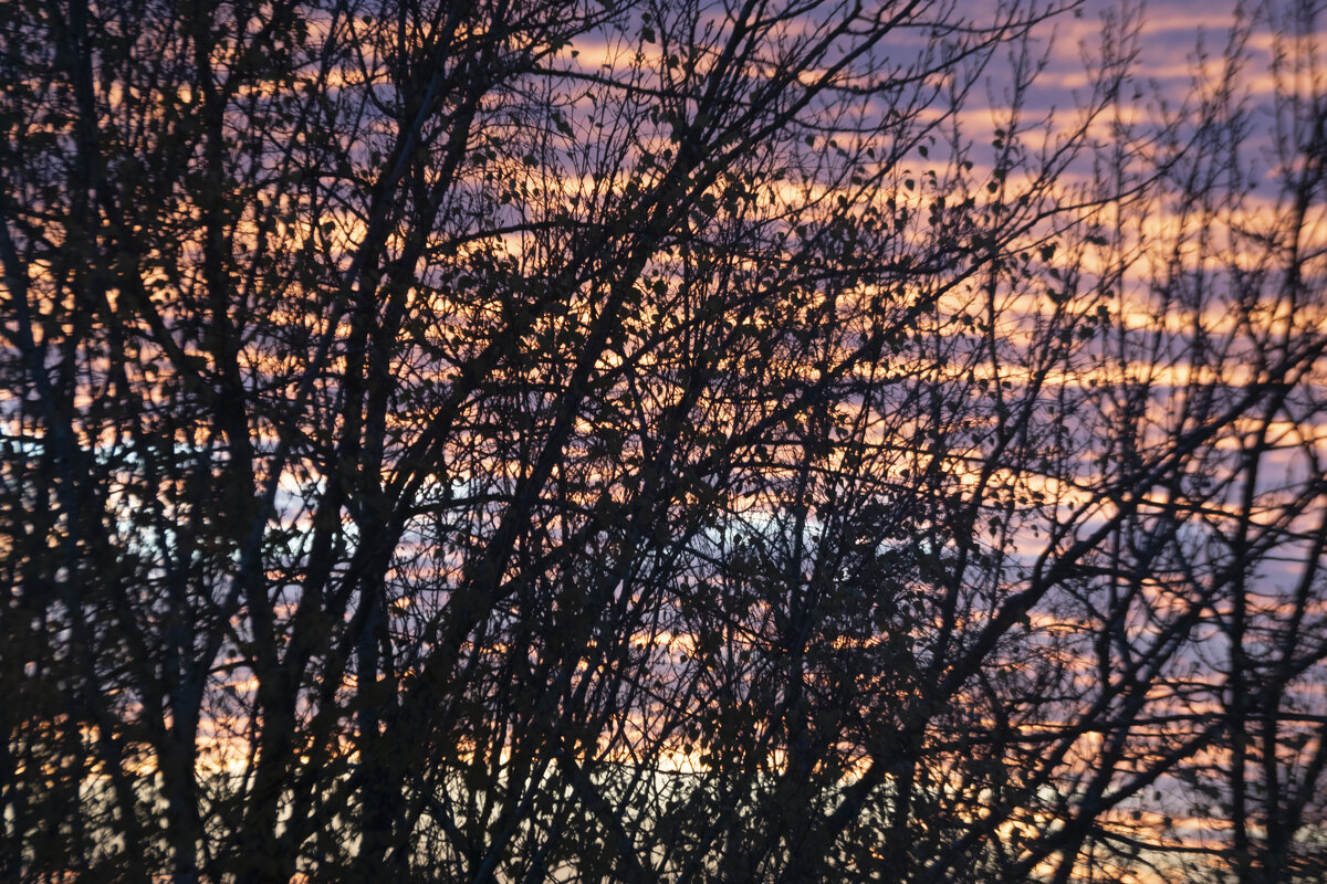 Закат - Александр Буторин