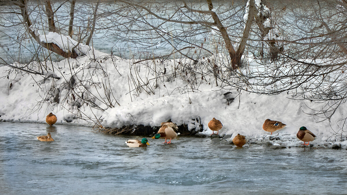 Первый день весны 2026 г - Олег Стасенко Первый день весны 2026 г - Олег Стасенко