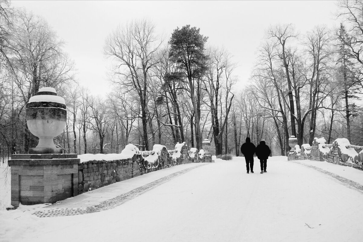 Парк Александрия. Мост-руина - Наталья Герасимова Парк Александрия. Мост-руина - Наталья Герасимова