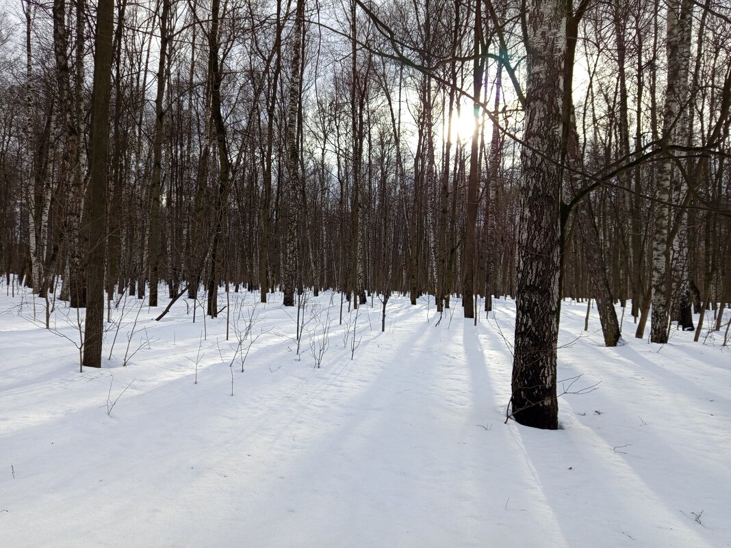 Март как он есть - Андрей Лукьянов Март как он есть - Андрей Лукьянов